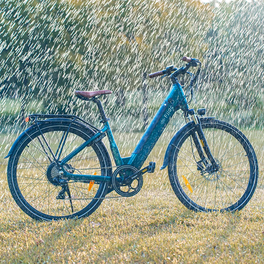 Fiido C11 Pro Vélo Électrique Léger Urbain - Image 4