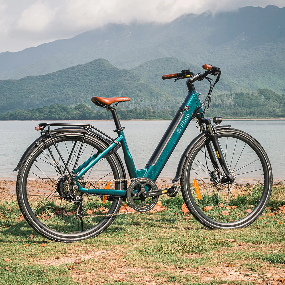 Fiido C11 Pro Vélo Électrique Léger Urbain - Image 9