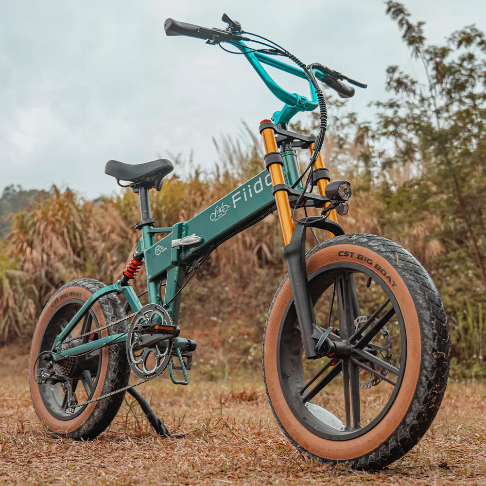 Fiido M1 Pro Vélo électrique Vtt Fatbike Cargo De Gros Pneus - Image 4
