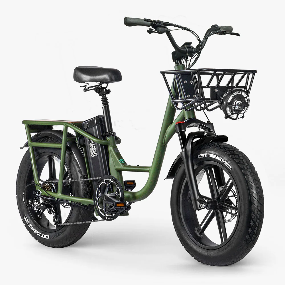 Fiido T1 Pro Vélo électrique Fatbike Cargo - Image 5