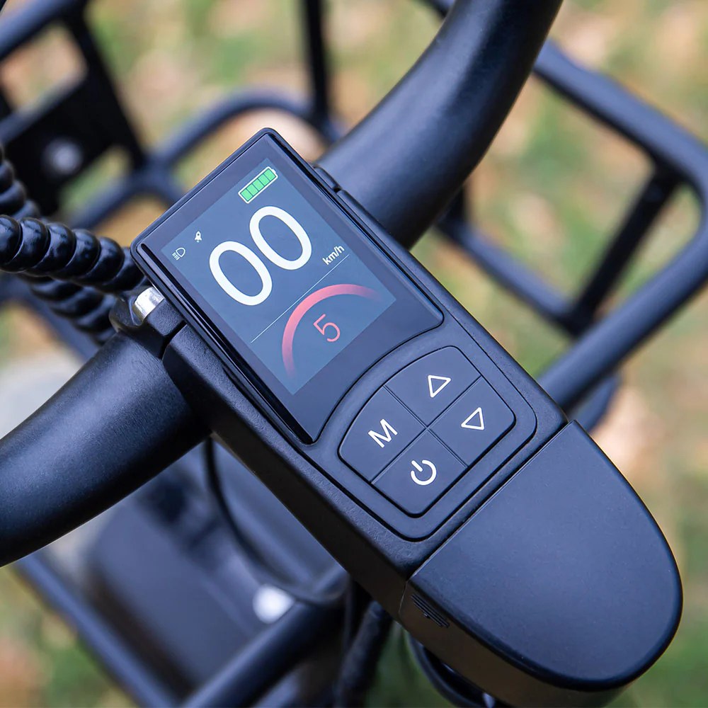 Fiido T1 Pro Vélo électrique Fatbike Cargo - Image 7