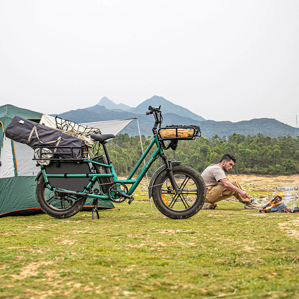 Fiido T2 Vélo électrique Longtail Fatbike Cargo - Image 4